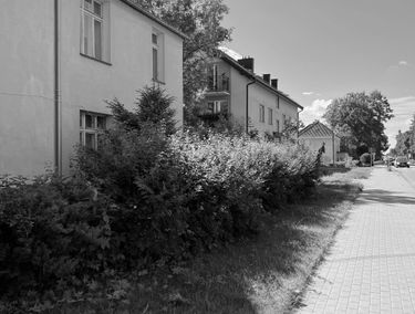 Zdjęcie 14846234