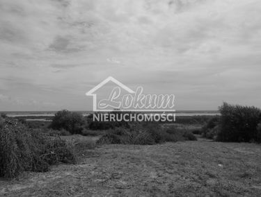 Zdjęcie 14846706