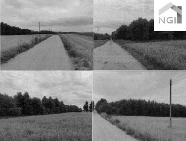Zdjęcie 14846952