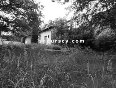 Zdjęcie 14847182