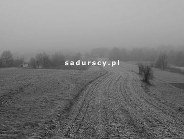 Zdjęcie 14849240