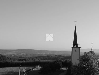 Zdjęcie 14849881