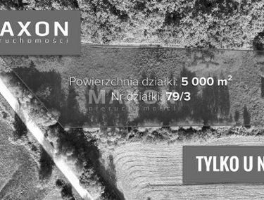 Zdjęcie 14849997