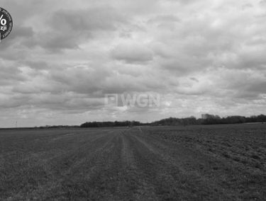 Zdjęcie 14850012