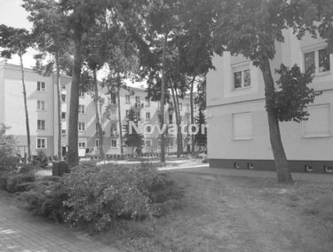 Zdjęcie 14850023