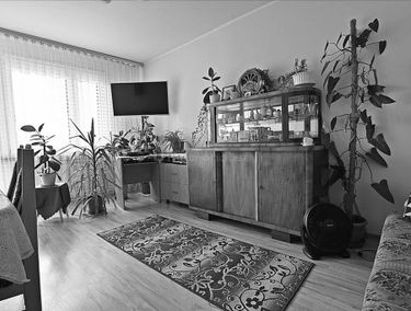 Zdjęcie 14850084