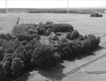 Zdjęcie 14850269