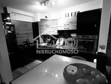 Zdjęcie 14851190