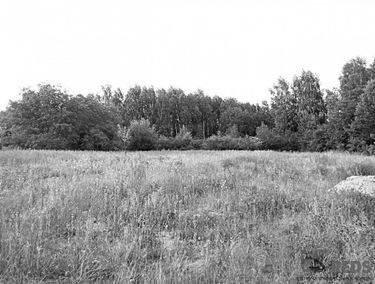 Zdjęcie 14851314