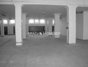 Zdjęcie 14851368