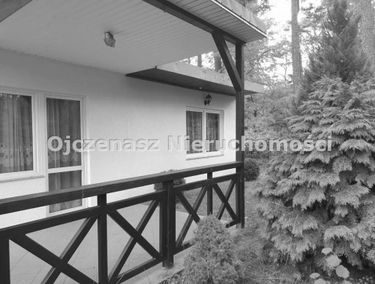 Zdjęcie 14851497