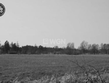 Zdjęcie 14852291