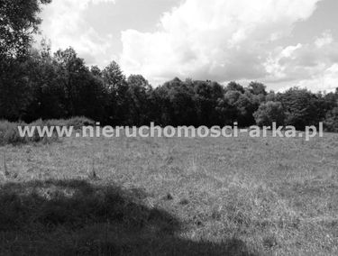 Zdjęcie 14852478