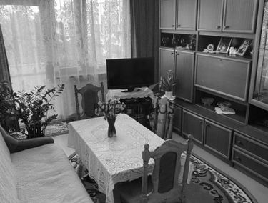 Zdjęcie 14853157