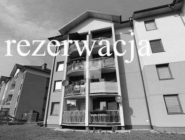 Zdjęcie 14853685