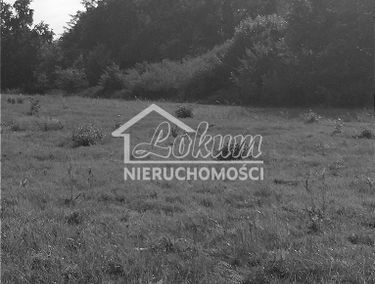 Zdjęcie 14856885