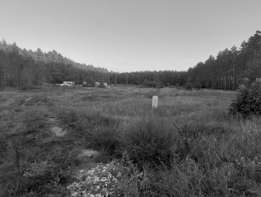 Zdjęcie 14857795