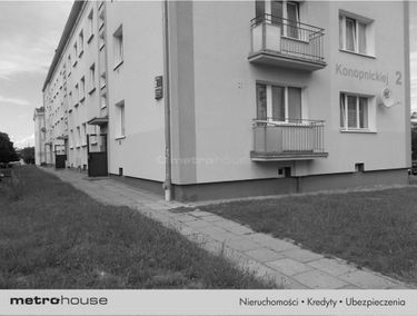 Zdjęcie 14858213