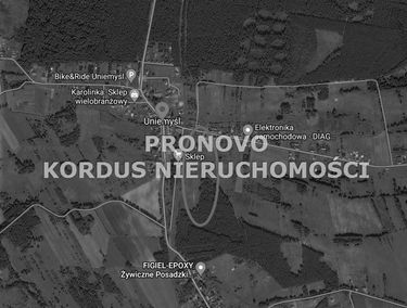 Zdjęcie 14858699