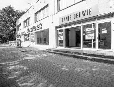 Zdjęcie 14858995
