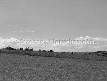 Zdjęcie 14859226