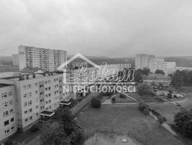 Zdjęcie 14859333