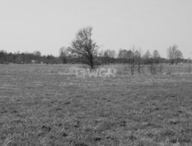 Zdjęcie 14859806