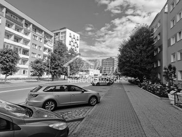 Zdjęcie 14860035