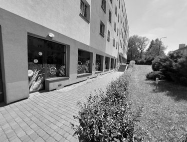 Zdjęcie 14860246