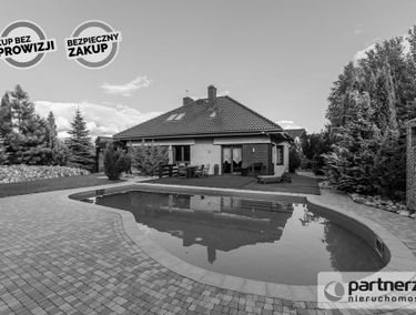 Zdjęcie 14860247