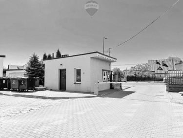 Zdjęcie 14860433