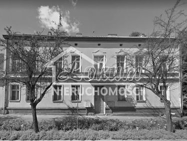 Zdjęcie 14862538