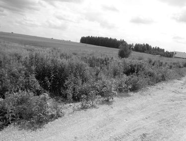 Zdjęcie 14864272