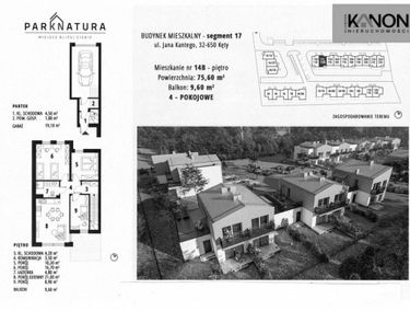 Zdjęcie 14867441
