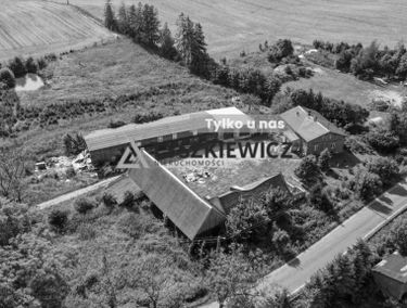 Zdjęcie 14867448