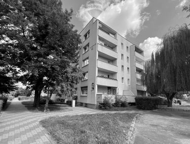 Zdjęcie 14867680