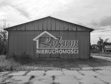 Zdjęcie 14868050
