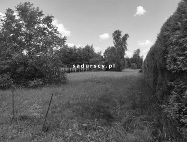 Zdjęcie 14868122