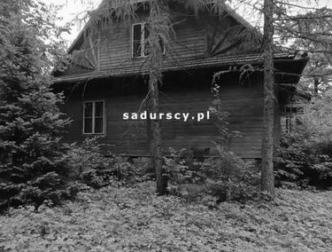 Zdjęcie 14868153