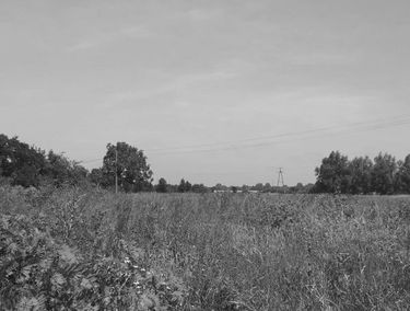 Zdjęcie 14868503
