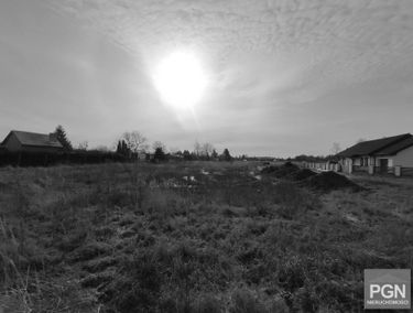 Zdjęcie 14868622