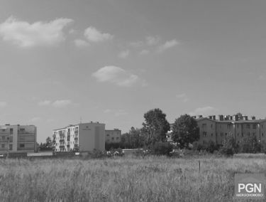 Zdjęcie 14868721