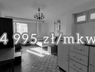 Zdjęcie 14869169