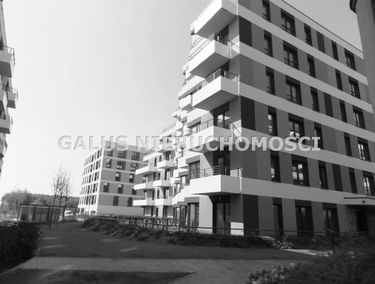 Zdjęcie 14869407