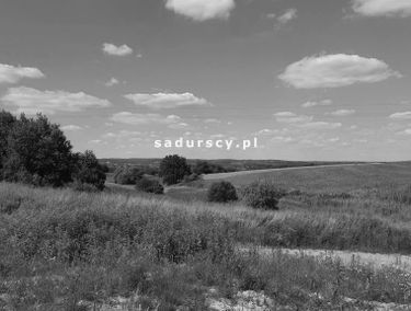 Zdjęcie 14871852
