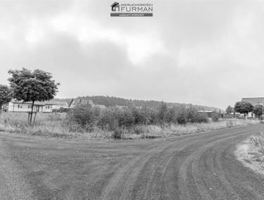 Zdjęcie 14873052