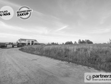 Zdjęcie 14873053