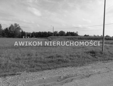 Zdjęcie 14874228