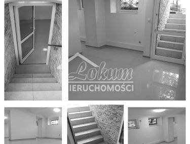 Zdjęcie 14874663