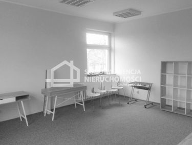 Zdjęcie 14875304